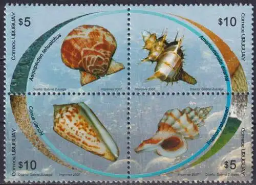 The 50th Anniversary of Malacology - Marine Molluscs