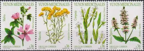 Medicinal Plants