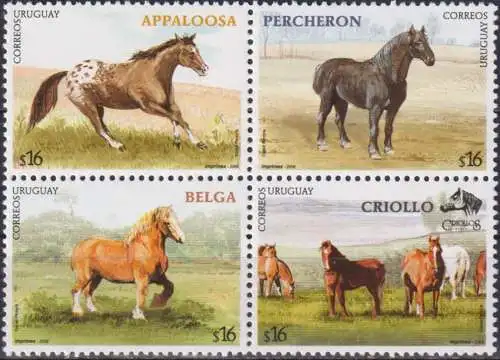 Horse Breeds