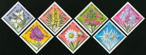 Flowers Of Mongolia