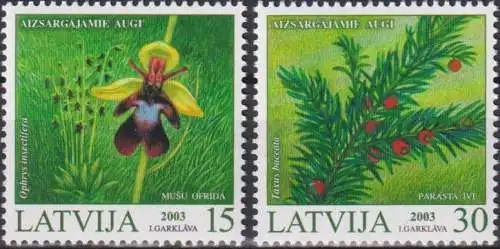 Protected Plants of Latvia