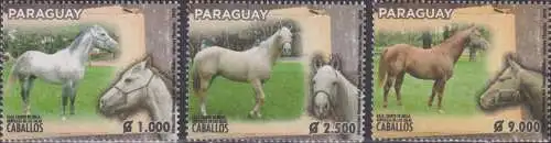 Horse Breeds of Paraguay