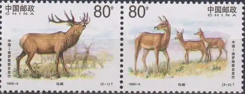 Red Deer