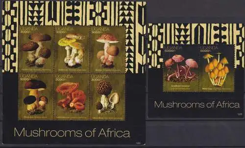 Mushrooms of Africa