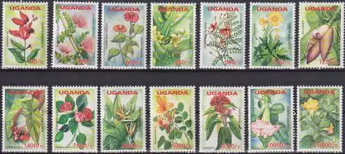 Flowering Plants of Uganda