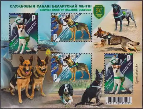 Service dogs of the Belarusian customs