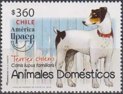 Domestic Animals