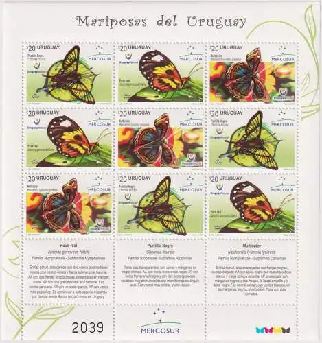 Butterflies of Uruguay