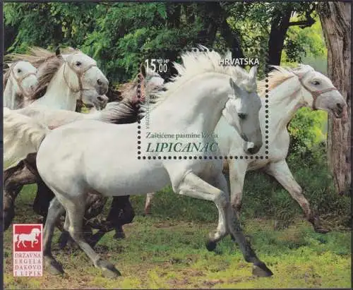 Protected Horse Breeds - Lipizzan Horse