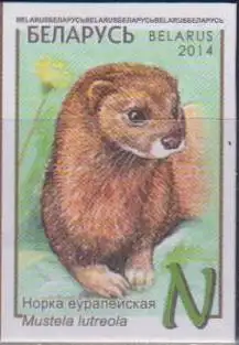 European mink