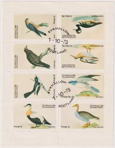 Birds - label