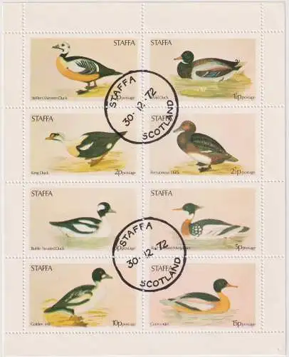 Birds - label