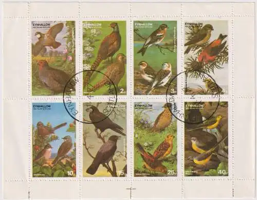 Birds - label