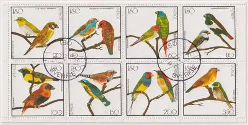 Birds - label