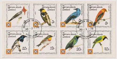 Birds - label