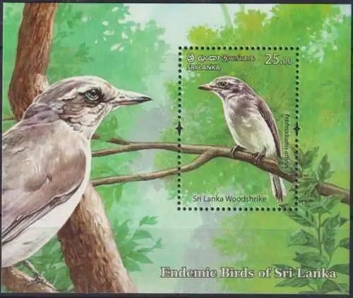 Sri Lanka Woodshrike