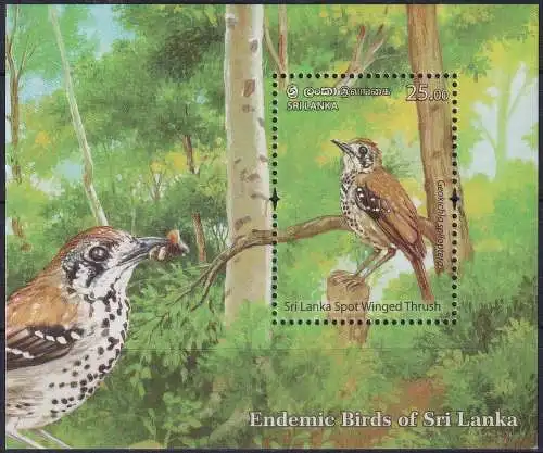 Sri Lanka Spot-Winged Thrush