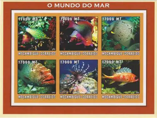 Marine Life - Tropical Fish