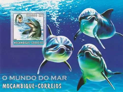 Marine Life - Dolphins