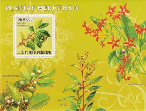 Medicinal Plants