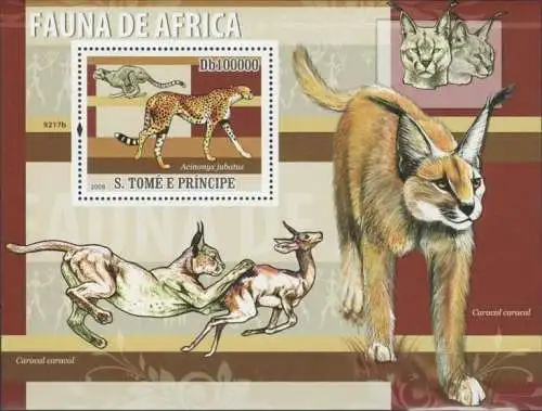 Fauna of Africa - Wild Cats