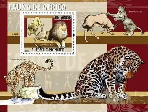 Fauna of Africa - Wild Cats