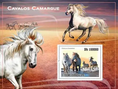 Camargue Horses