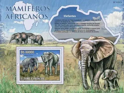 Elephants of Africa