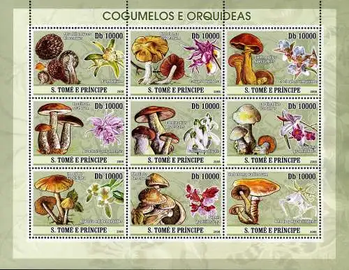 Mushrooms & Orchids