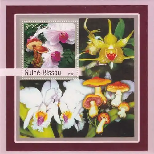 Orchids and mushrooms