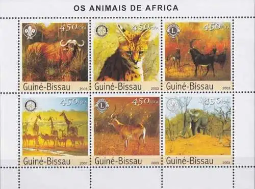 African Animals