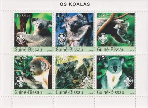 Koalas