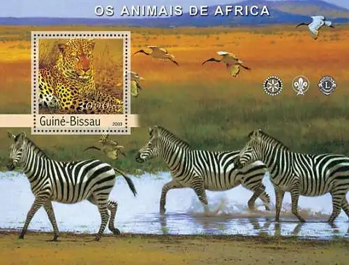 African Animals