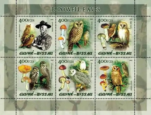 Scouts - Baden Powell & Birds