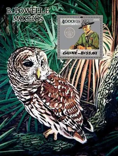 Scouts - Baden Powell & Birds