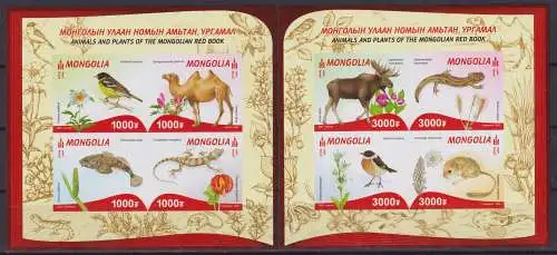 Flora and Fauna of the Red Book of Mongolia