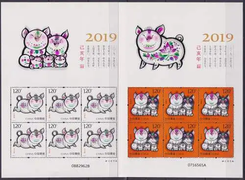 Chinese New Year - Year of the Pig