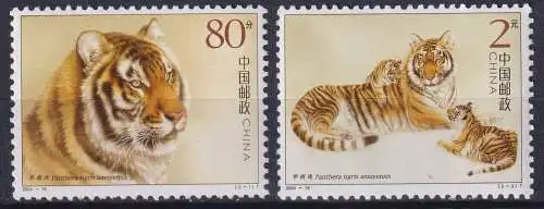 South China Tiger