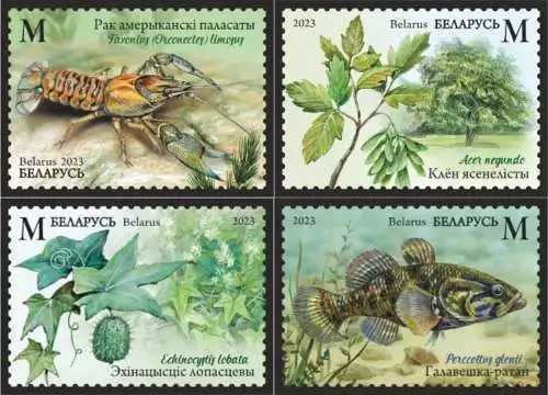 Invasive species of flora and fauna of Belarus