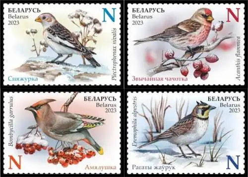 Birds are winter guests of Belarus