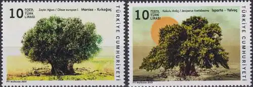 Monumental Trees