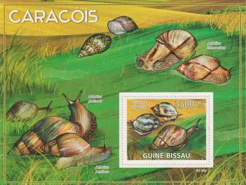 Snails of Africa