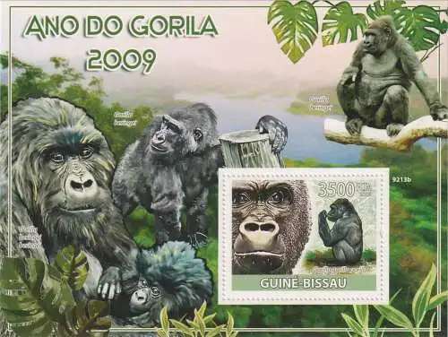 The Year of the Gorilla