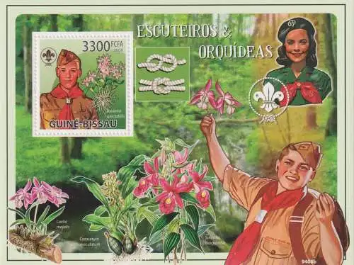 Scouts & Orchids