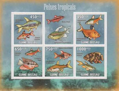 Tropical Fish