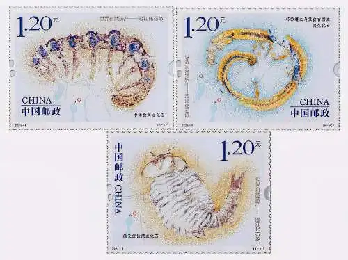 Fossils of Chengjiang