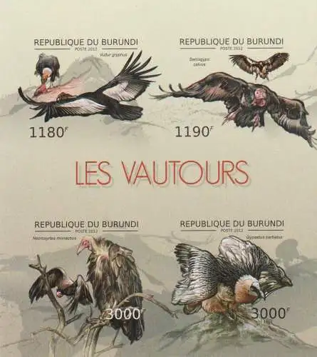 Birds - Vultures