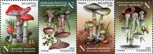 Poisonous Mushrooms of Belarus