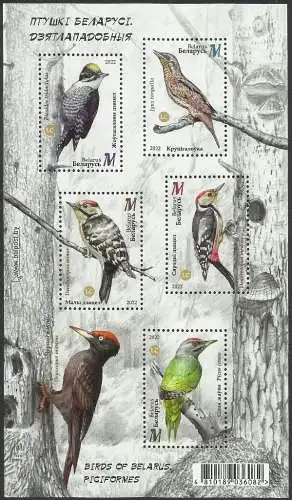 Birds of Belarus - Piciformes