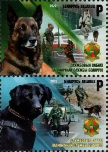 Service Dogs of the Border Guard Service